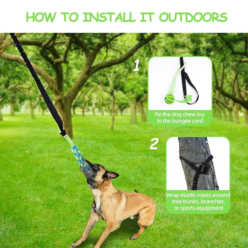 Interactive Outdoor Dog Bungee Rope Indoor Dog Rope Toys with TPR Teething Grinding Ball and Changeable Tug-Of-War Rope Toy