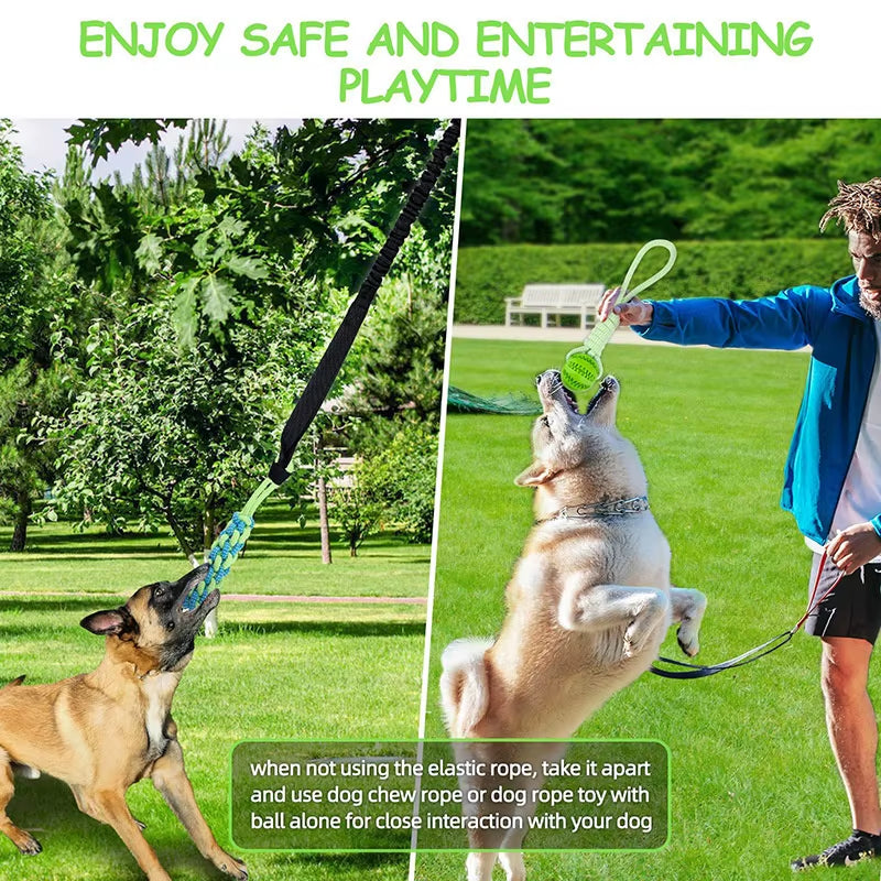 Interactive Outdoor Dog Bungee Rope Indoor Dog Rope Toys with TPR Teething Grinding Ball and Changeable Tug-Of-War Rope Toy