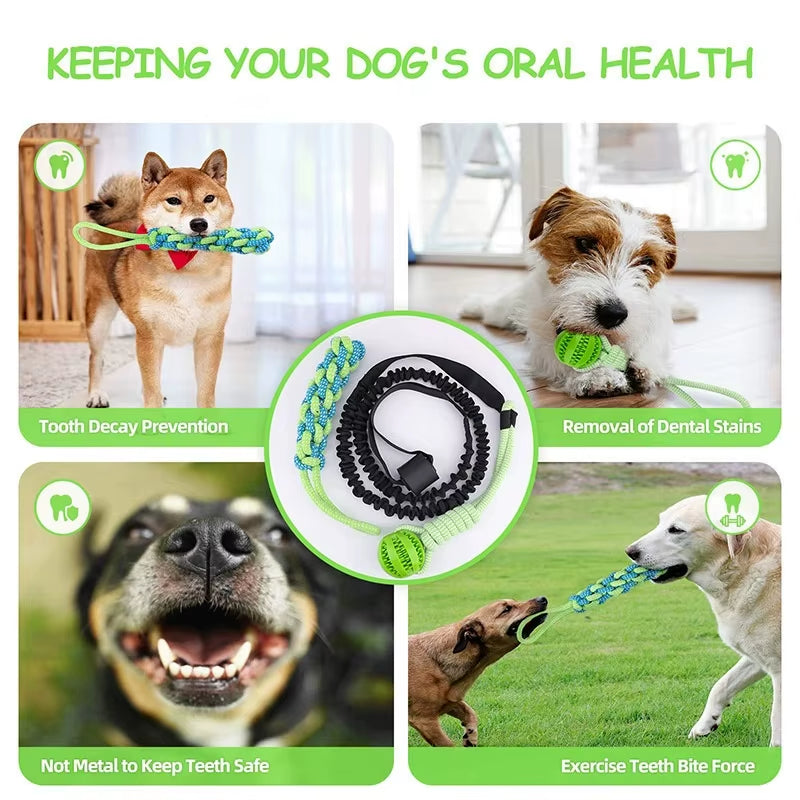 Interactive Outdoor Dog Bungee Rope Indoor Dog Rope Toys with TPR Teething Grinding Ball and Changeable Tug-Of-War Rope Toy