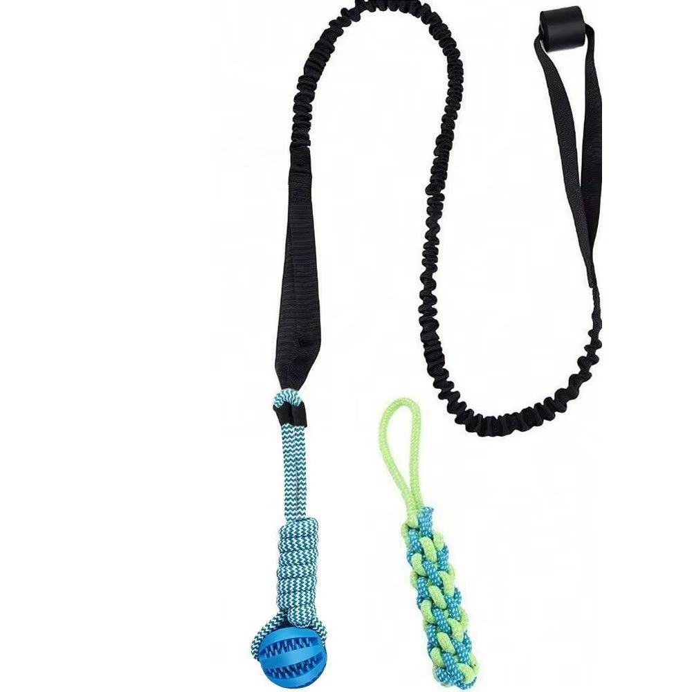 Interactive Outdoor Dog Bungee Rope Indoor Dog Rope Toys with TPR Teething Grinding Ball and Changeable Tug-Of-War Rope Toy