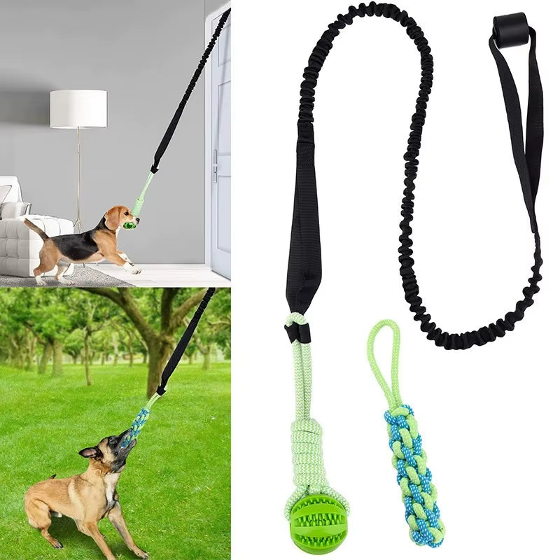 Interactive Outdoor Dog Bungee Rope Indoor Dog Rope Toys with TPR Teething Grinding Ball and Changeable Tug-Of-War Rope Toy